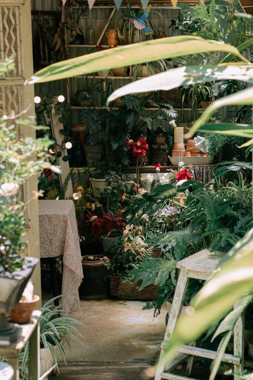 Free Serene indoor greenhouse filled with vibrant plants and flowers, creating a lush, tranquil atmosphere. Stock Photo