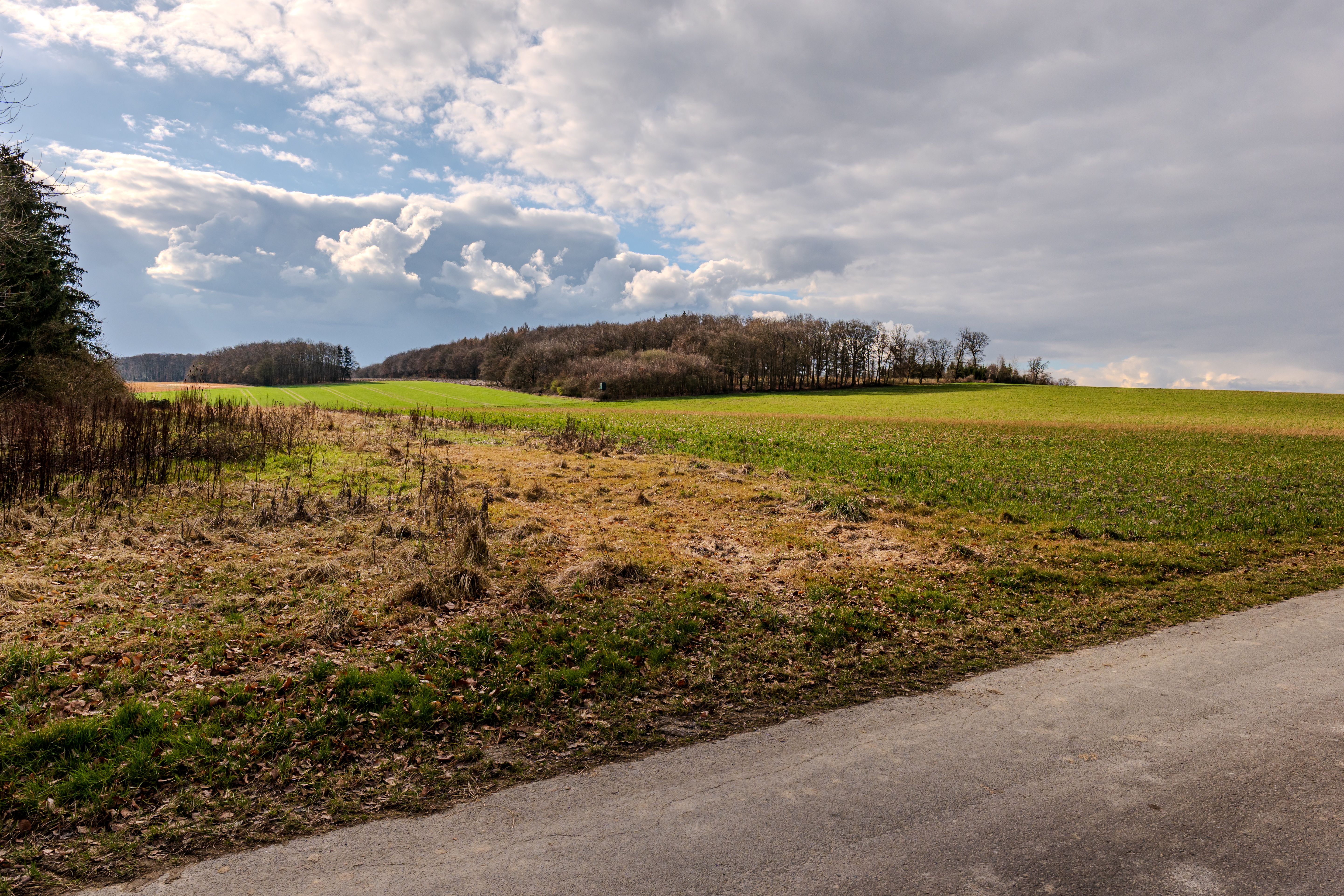 Idyllic Rural Landscape with Cloudy Skies · Free Stock Photo