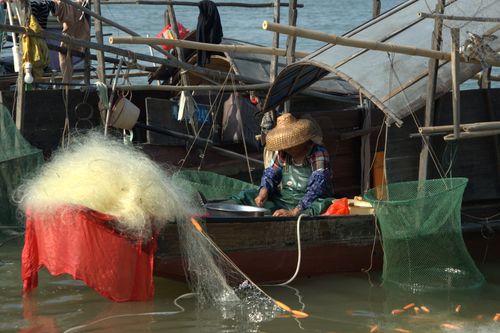 Free Fisherman in straw hat manages fishing nets on a boat surrounded by water. Stock Photo