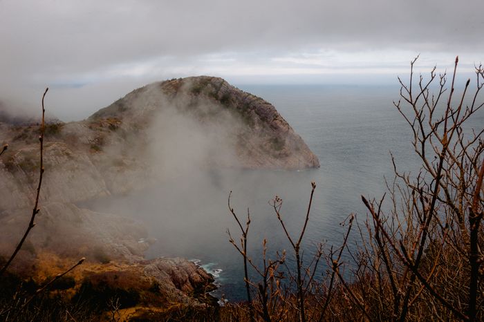Fog rolling over a coastal headland — photo by Harrison Haines on Pexels