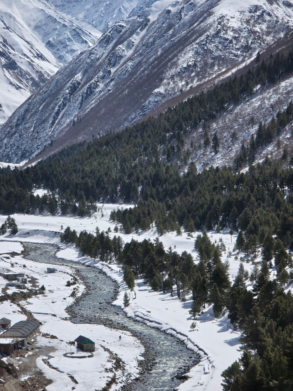Snowcapped Himalayas with pine valleys in Himachal Pradesh