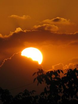 A stunning sunset with deep orange hues and silhouetted tree branches, creating a dramatic and moody atmosphere.