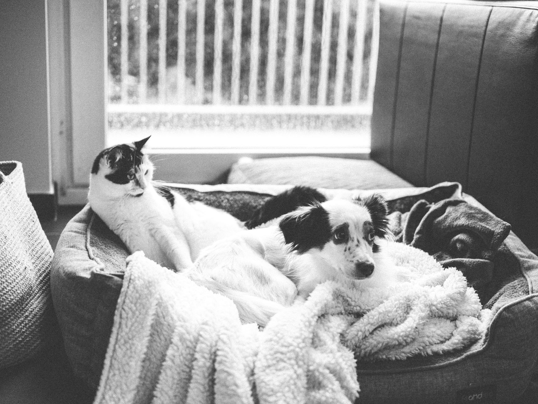 운전 왕초보 시절, 기억나세요? 🐈