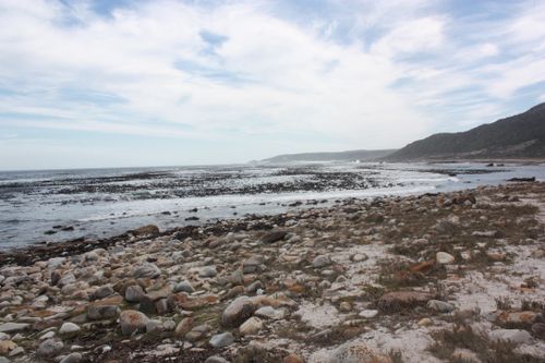 Free Tranquil rocky beach scene in Cape Town, showcasing the rugged coastline under a clear blue sky. Stock Photo