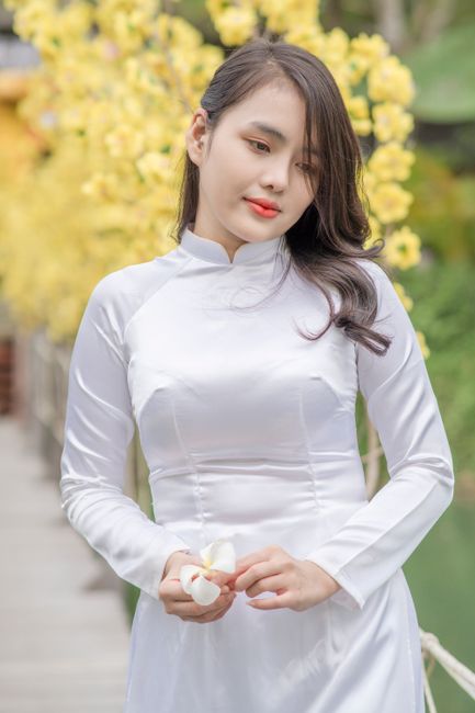 Elegant woman in traditional white Áo Dài amidst yellow blossoms outdoors.