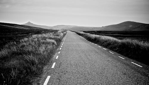 Asphalt Road Between Grass Field