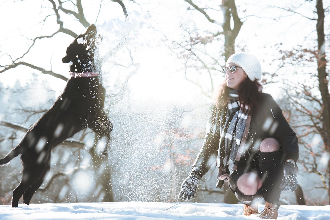 Free Young Woman in Snow Stock Photo