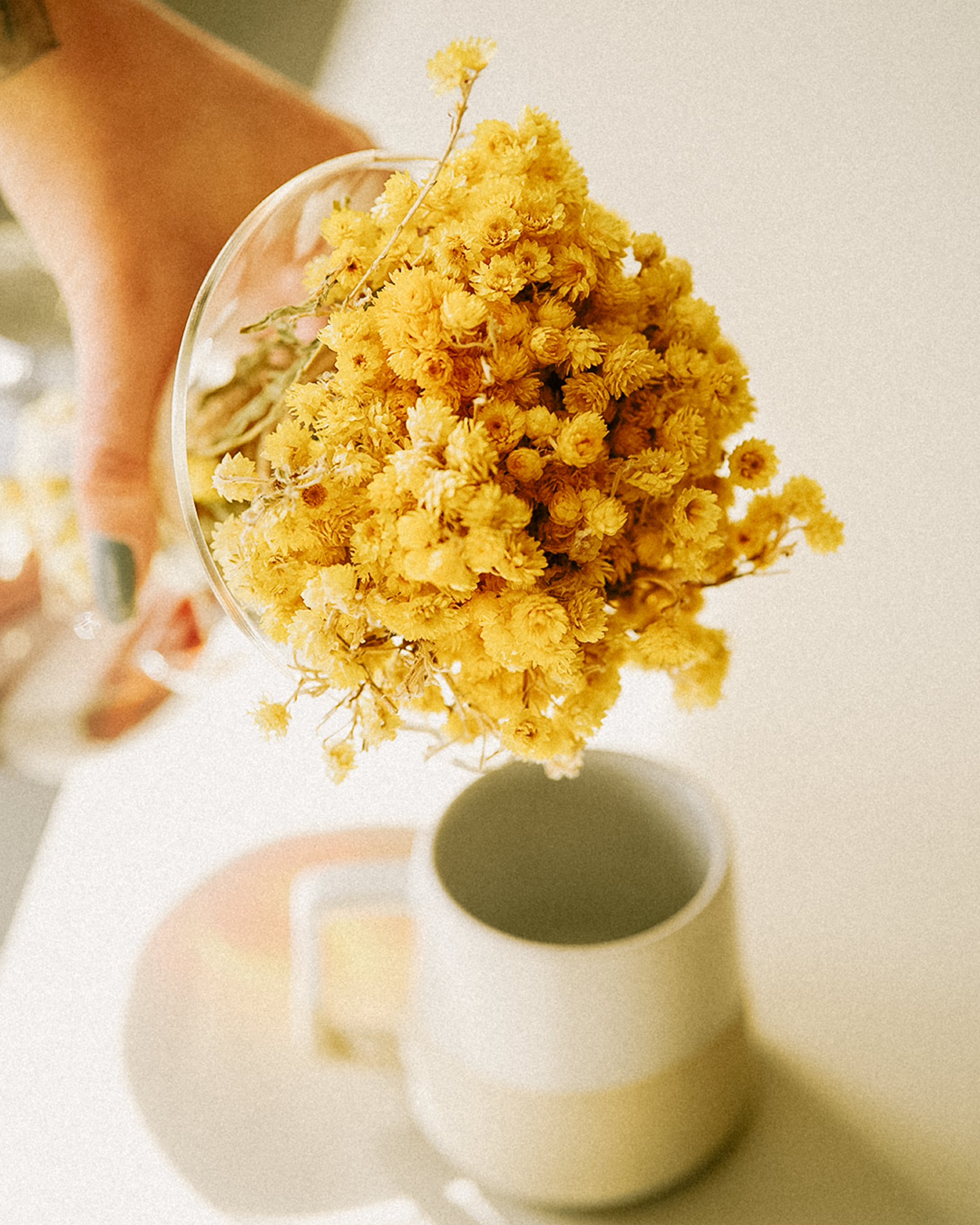 Soft natural textures in warm light