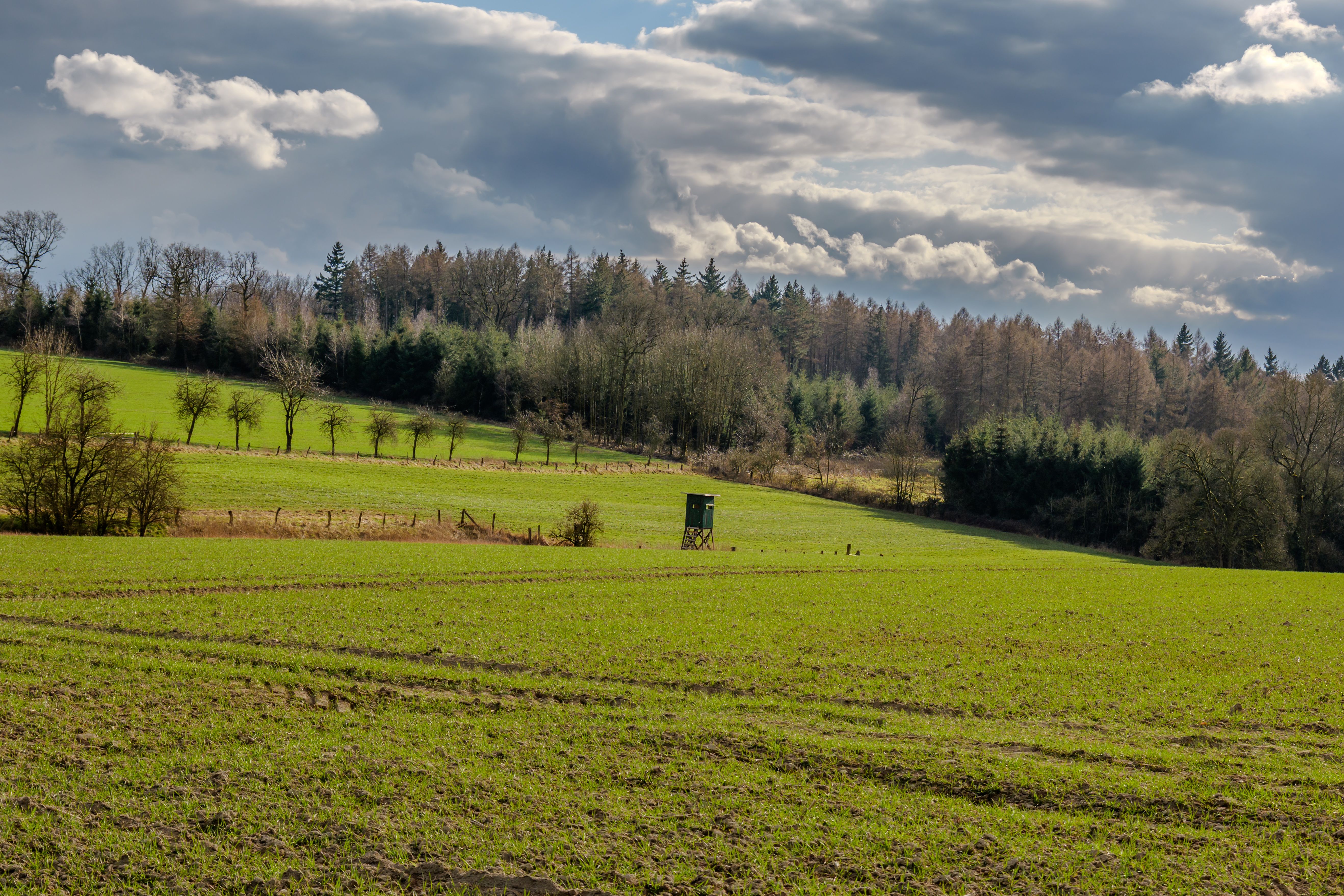 Scenic Landscape with Rolling Green Hills under Moody Sky · Free Stock ...