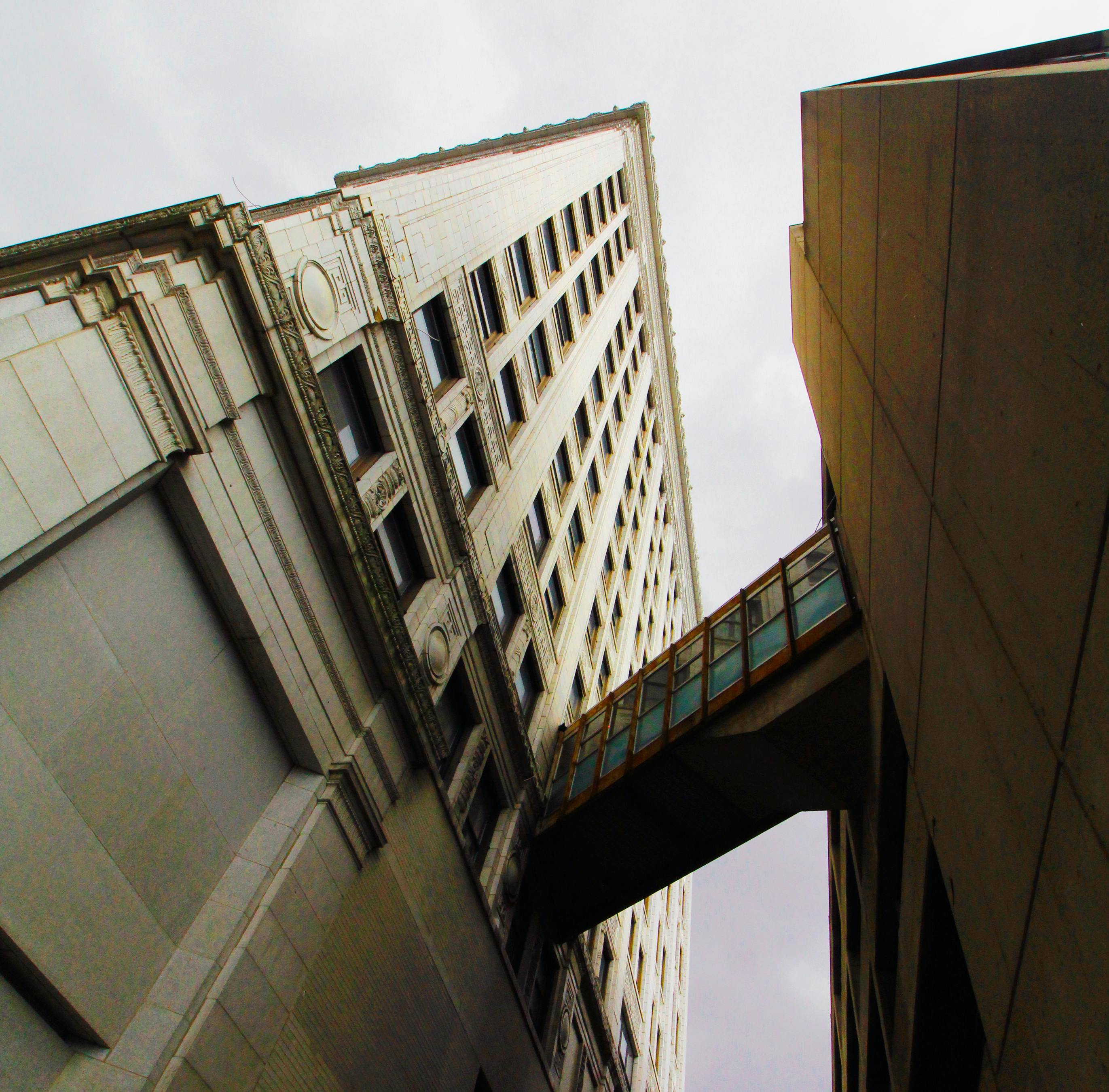 First Bankers Trust Company welcomes new VP, Financial Planning &amp; Analysis Officer — Photo by Sephina Cornwall on Pexels