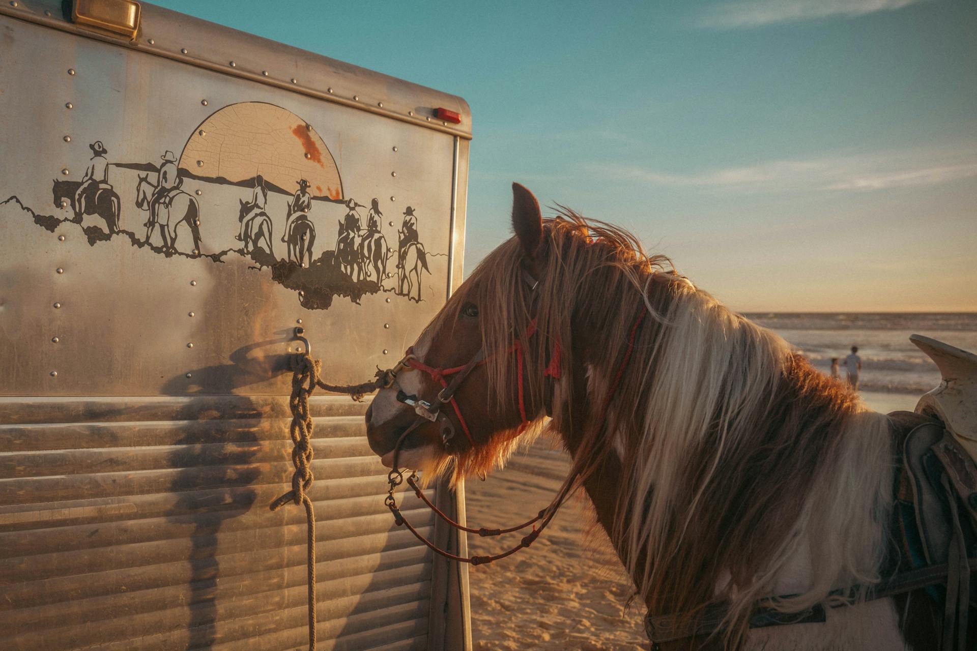 A horse stands tethered to a trailer on a sandy beach at sunset, with ocean waves in the background.