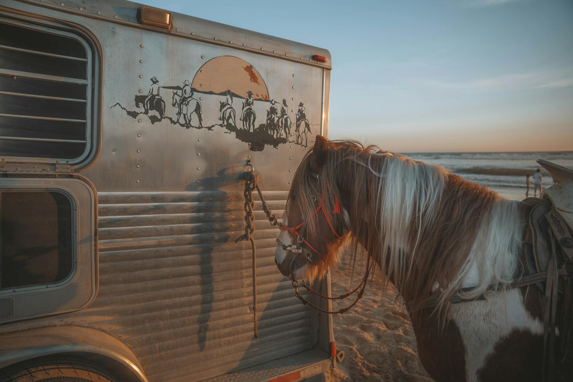 A horse resting next to a decorated trailer on a sandy beach during sunset.