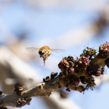 A detailed macro capture of a bee flying near flowering branches, showcasing nature's intricate processes.