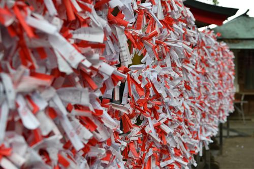 Free Colorful omikuji fortune papers tied at a Shinto shrine, symbolizing hopes and wishes. Stock Photo