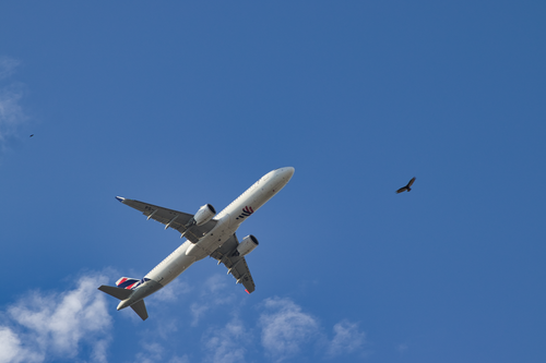 Free Avião  Stock Photo