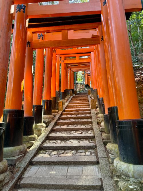 Free Fushimi Inari Shrine Stock Photo
