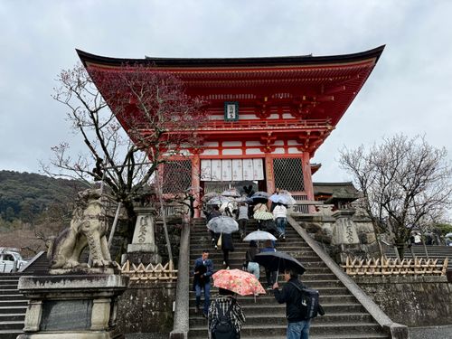 Free Kiyomizudera Temple in Rain Stock Photo