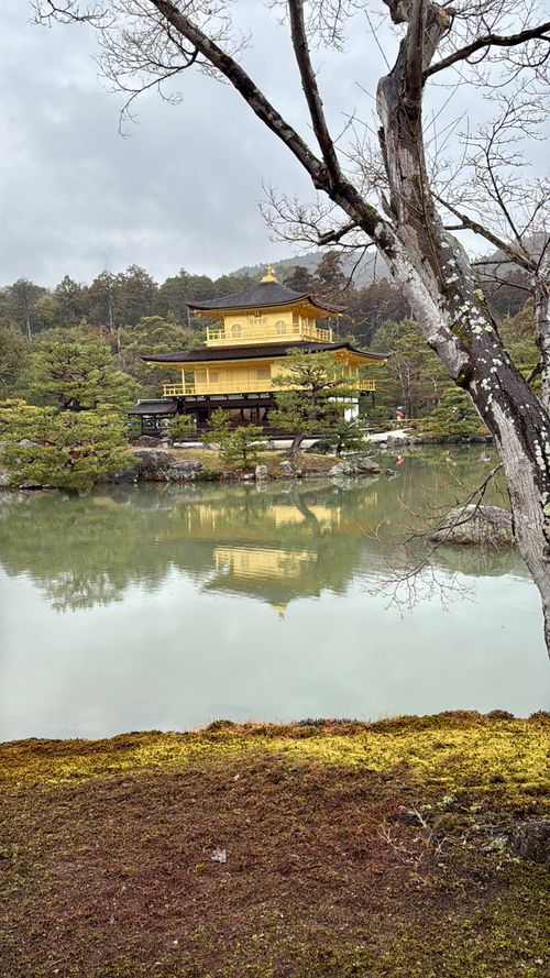 Free Kinkakuji Golden Temple Stock Photo