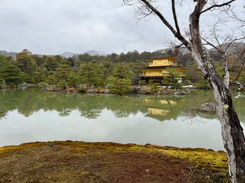 Free Kinkakuji Golden Temple Stock Photo