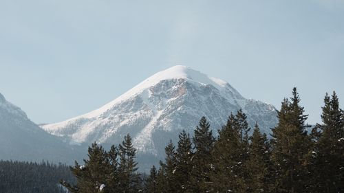 Free A tranquil view of a snow-capped mountain surrounded by evergreen trees on a clear winter day. Stock Photo