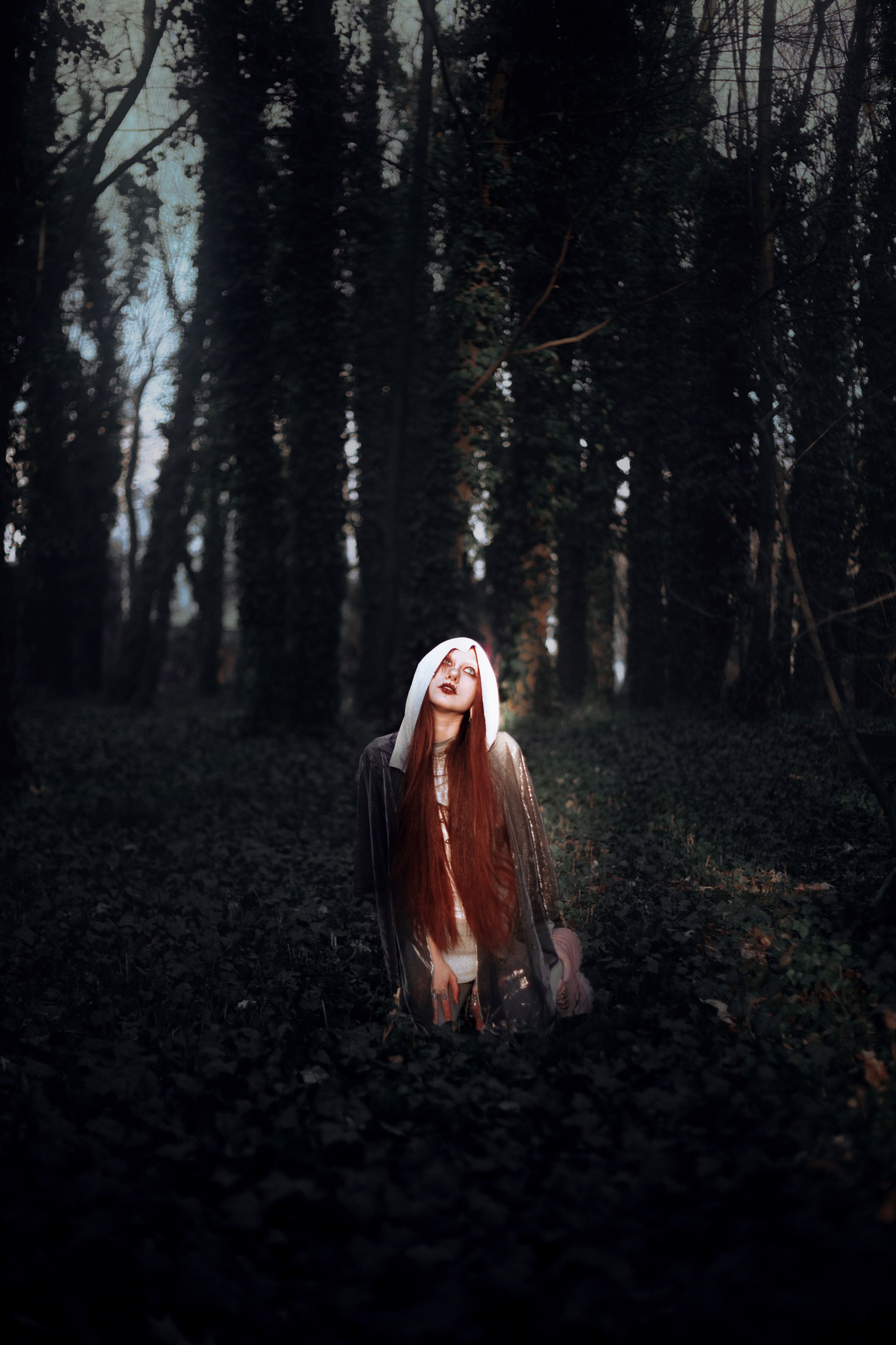 Mystical Woman in Enchanted Forest · Free Stock Photo