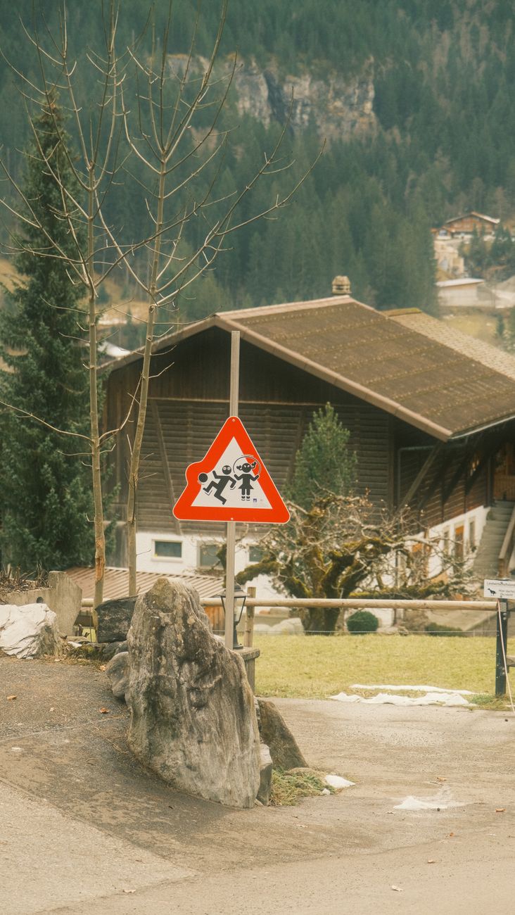 Manejo en Zonas Escolares: Normas de Seguridad y Precauciones Especiales para Conductores