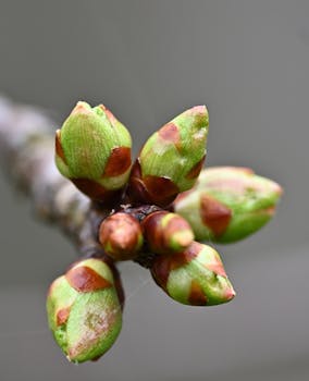 Emergence Capital mengumpulkan dana sebesar $1 miliar untuk mendukung perus