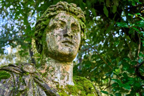 Free Close-up of an ancient moss-covered statue surrounded by lush foliage creating a mysterious ambiance. Stock Photo