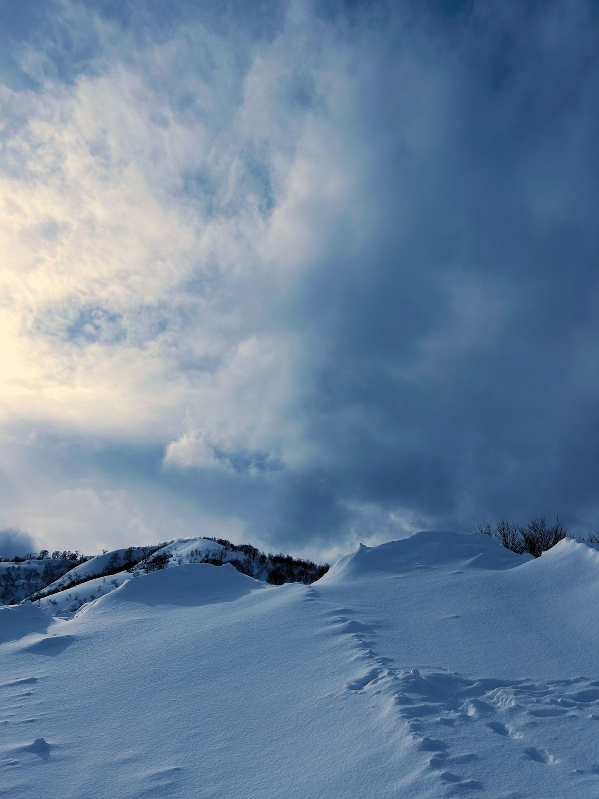 Serene snowy winter landscape in Niigata Prefecture — Snow Country silence