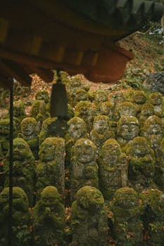 A grouping of moss-covered Buddhist statues in a tranquil outdoor forest area, exuding an ancient and mysterious atmosphere.
