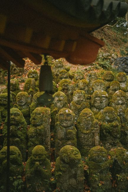 A grouping of moss-covered Buddhist statues in a tranquil outdoor forest area, exuding an ancient and mysterious atmosphere.