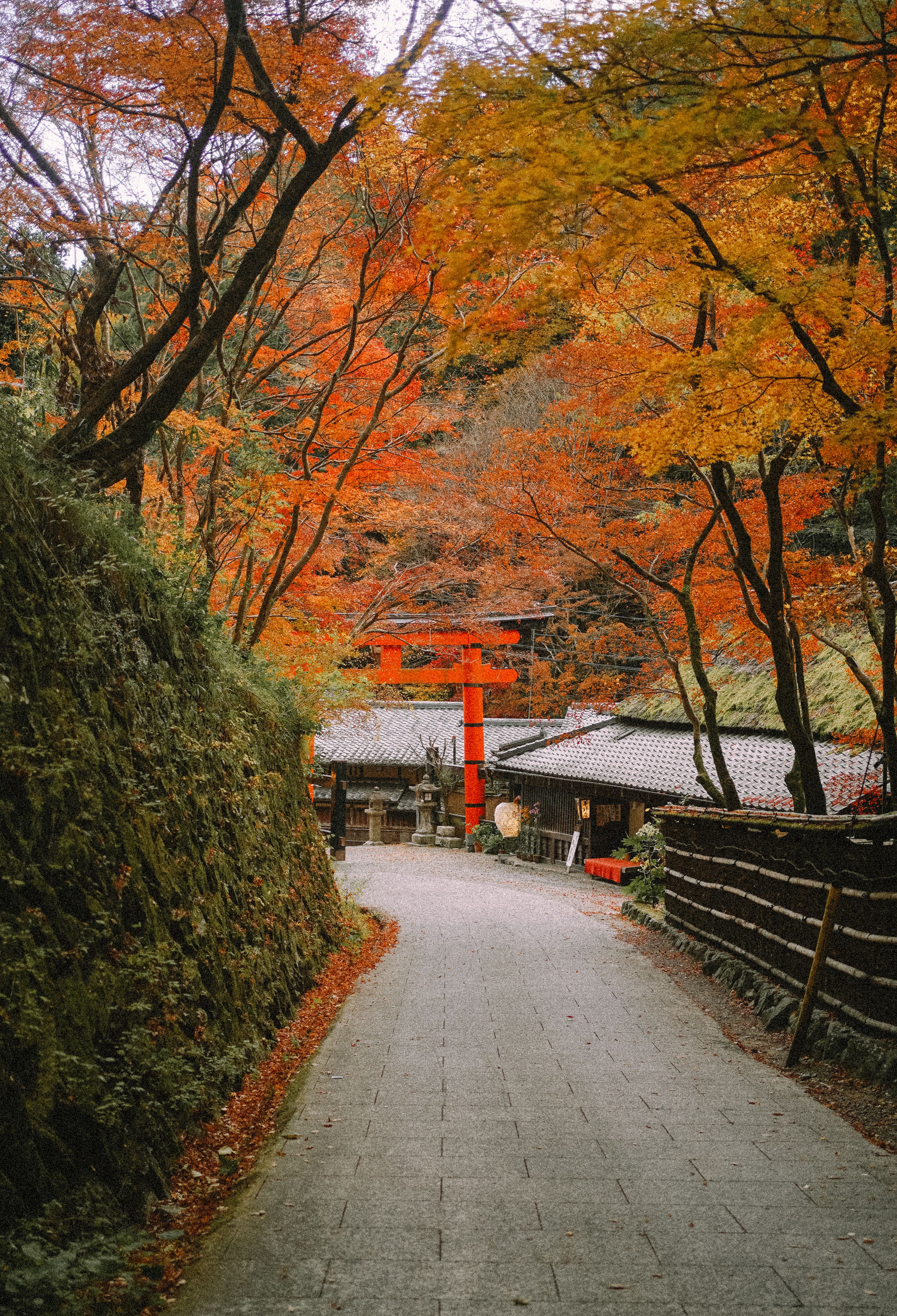 Traditional Awa Odori festival pathway scene in Tokushima Japan