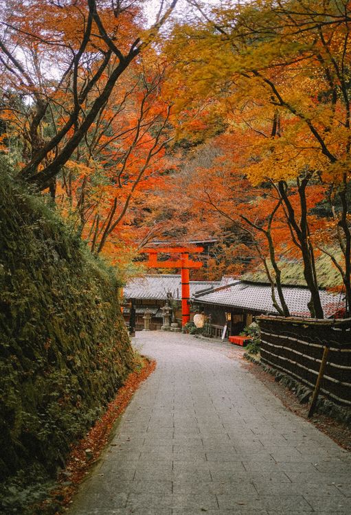 Traditional Awa Odori festival pathway scene in Tokushima Japan