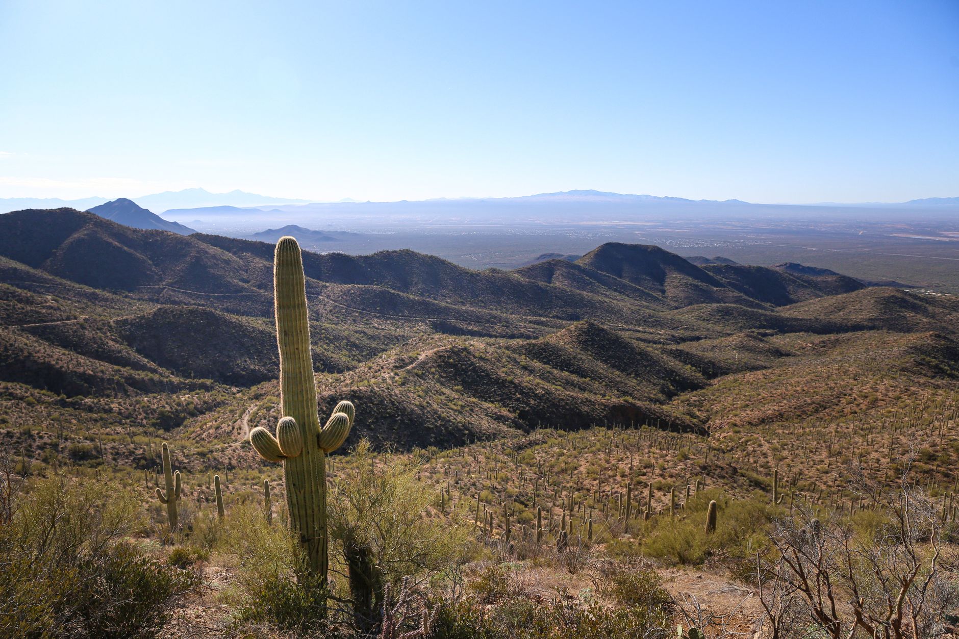 Tucson photo 4