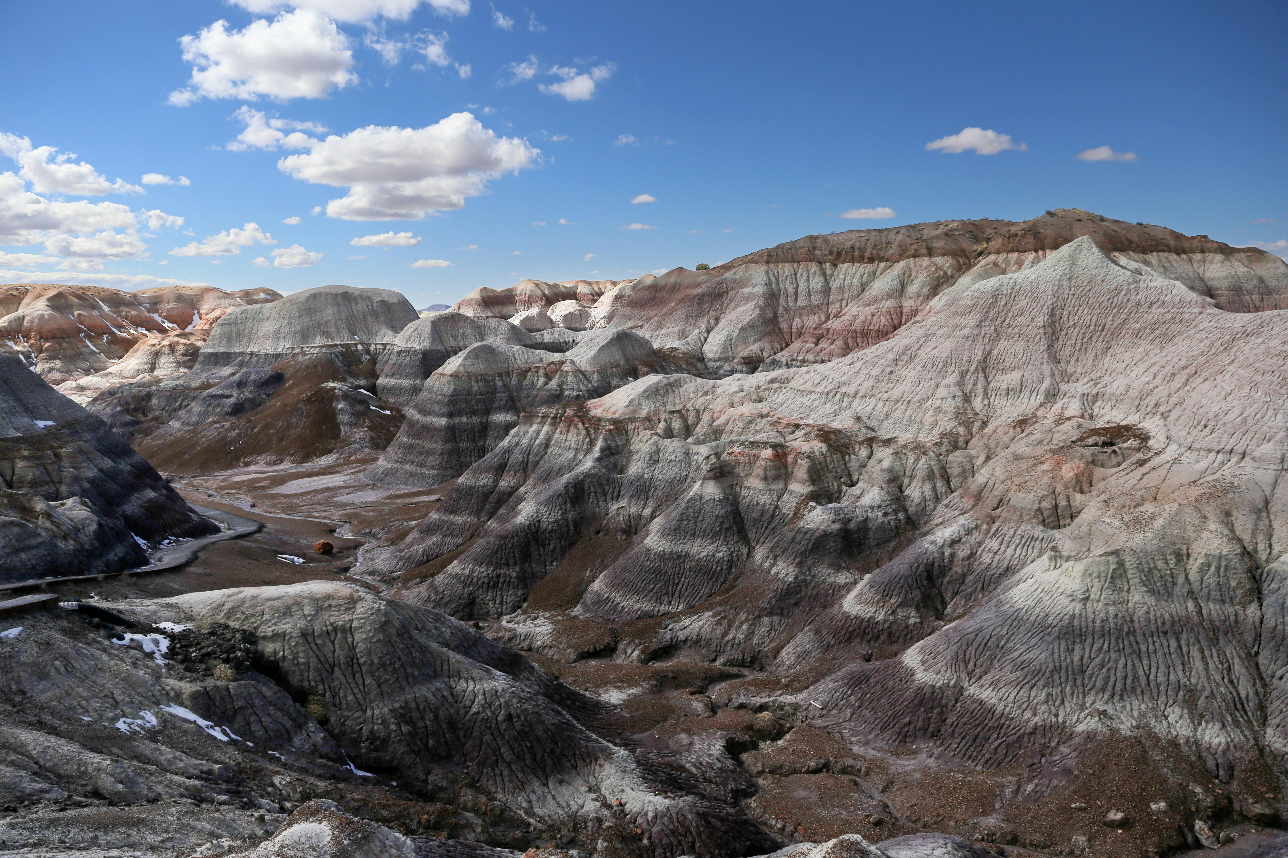 Petrified Forest NP