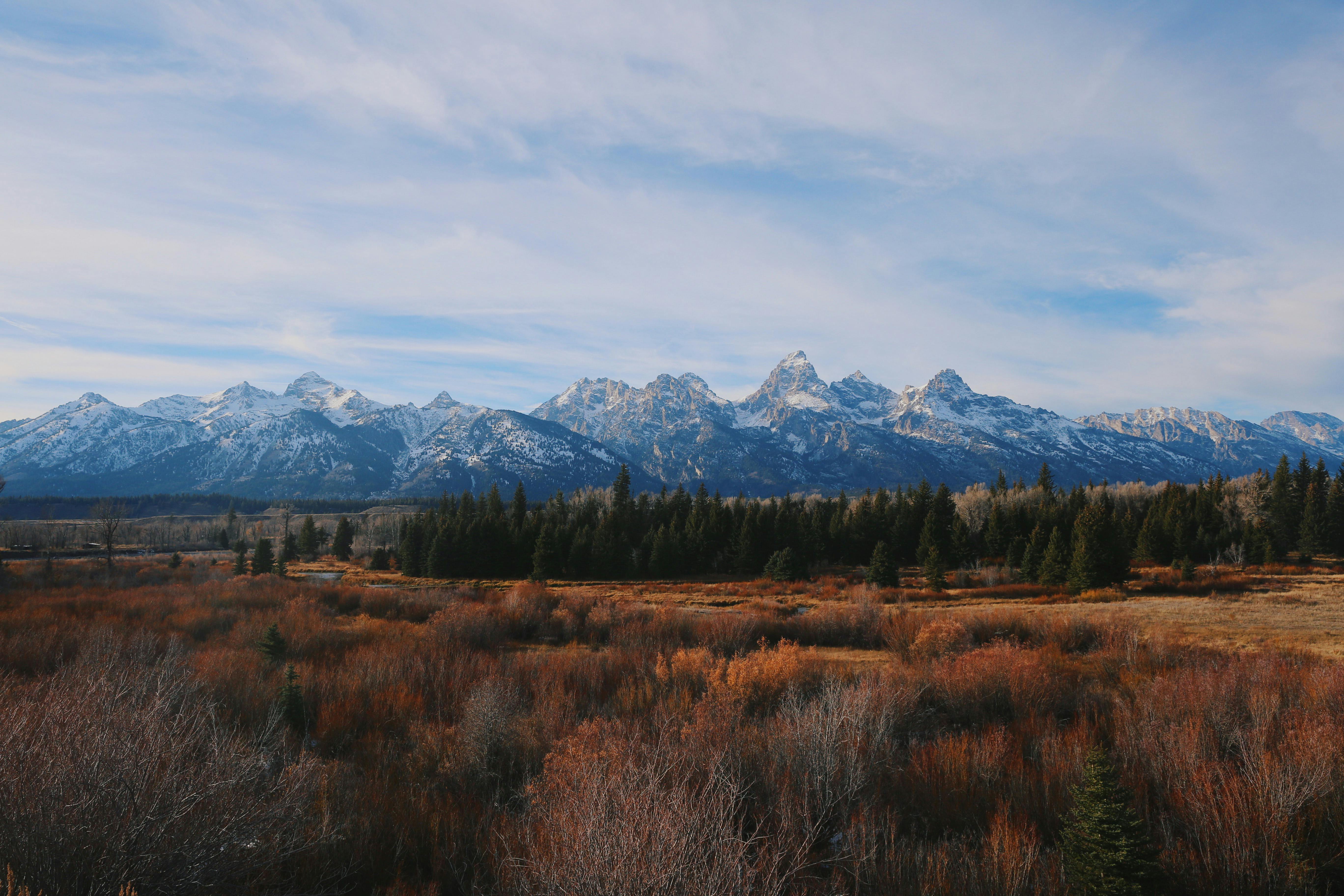 Wyoming - Tiny Homes