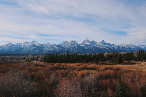 Free Experience the majestic Grand Teton Mountains and vast wilderness under a clear sky. Perfect for nature lovers and adventurers. Stock Photo
