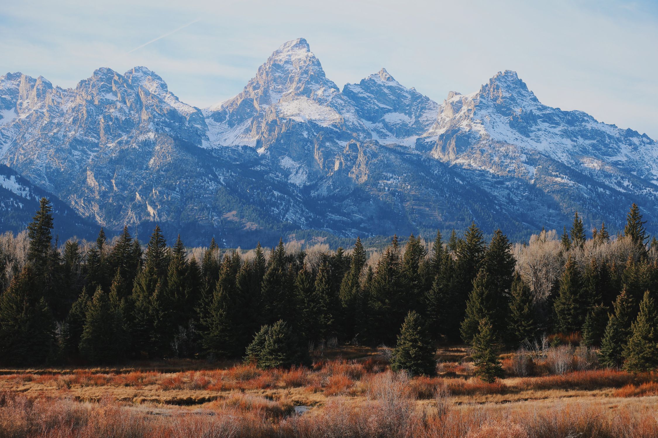 Majestic view of the Grand Teton mountain range in Wyoming with evergreen forests in the foreground