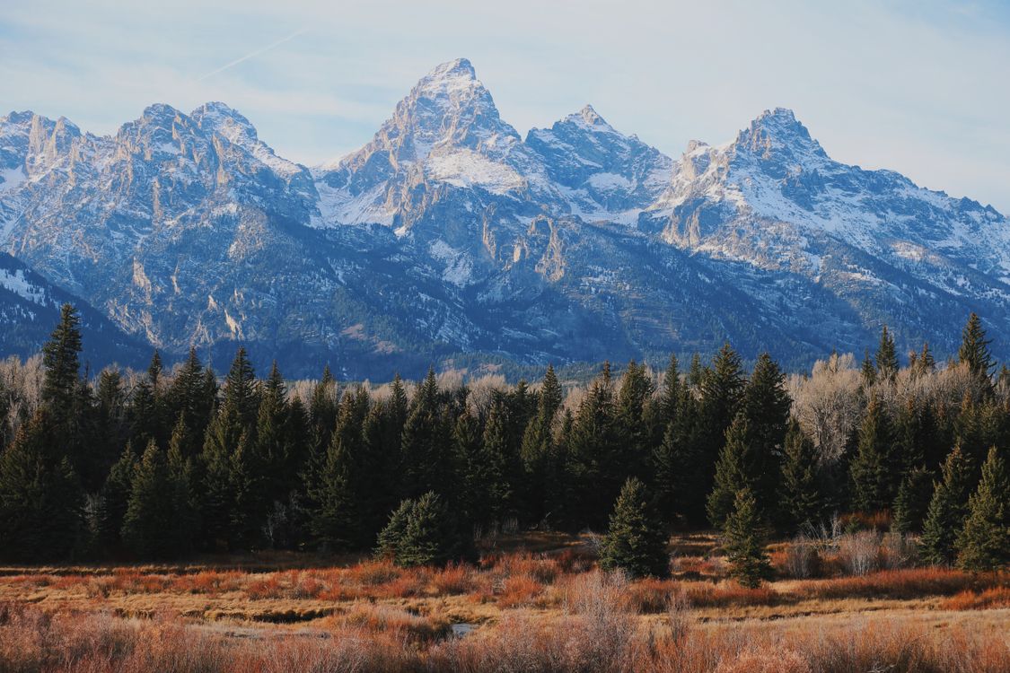 Scenic View of Grand Teton Mountains in Wyoming · Free Stock Photo
