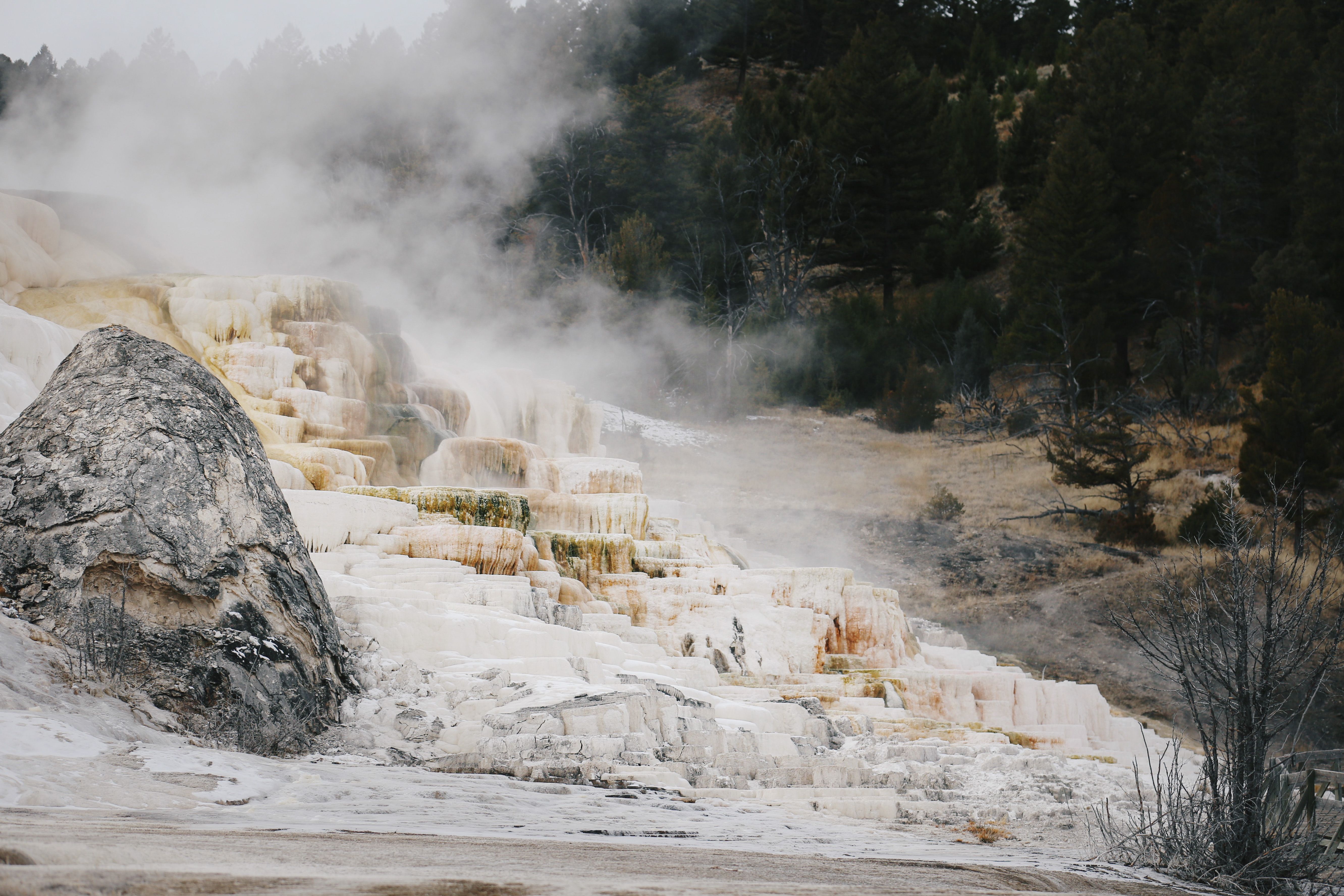 Mammoth Hot Springs in Yellowstone National Park · Free Stock Photo