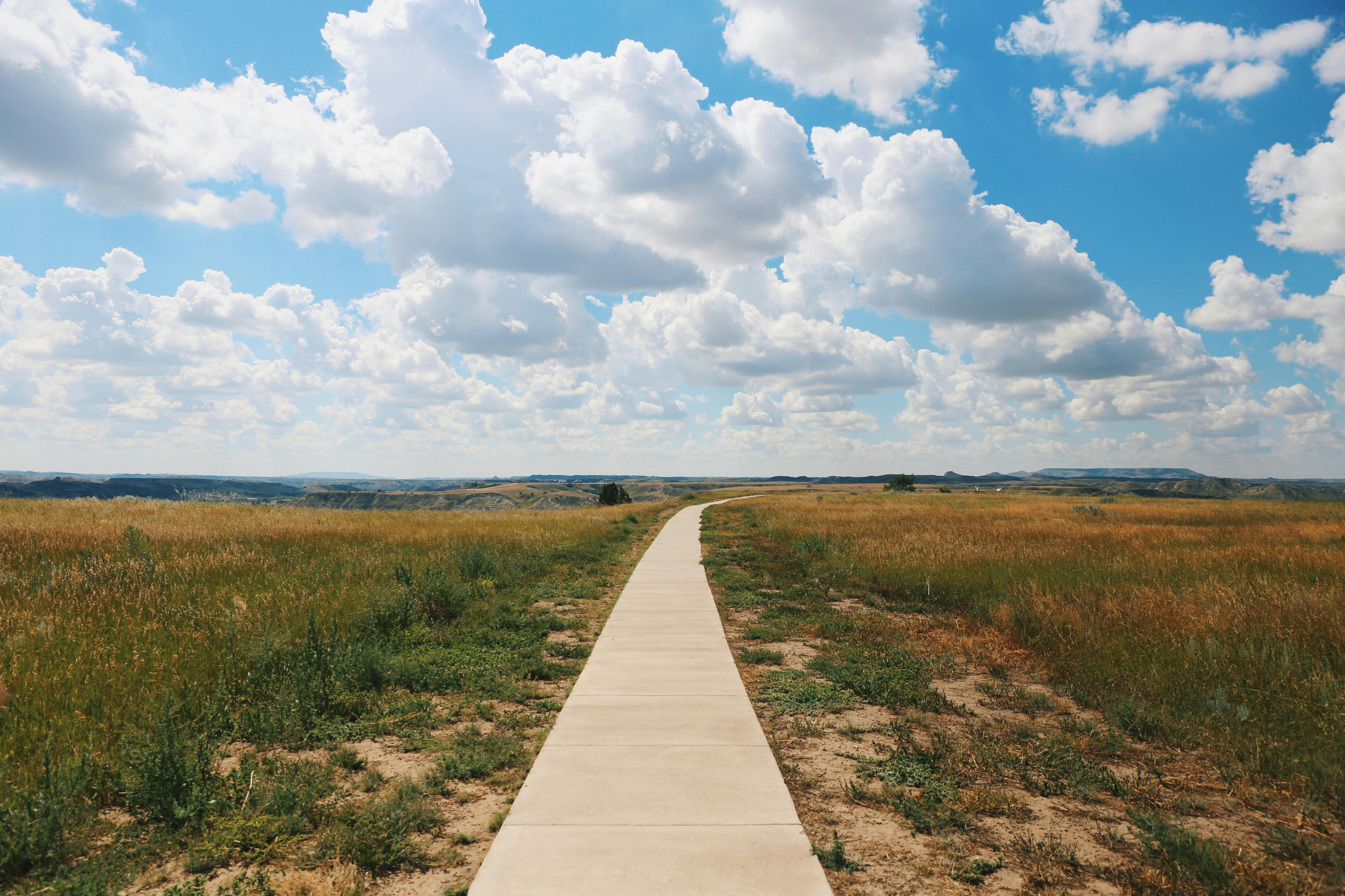 Photo of Theodore Roosevelt National Park