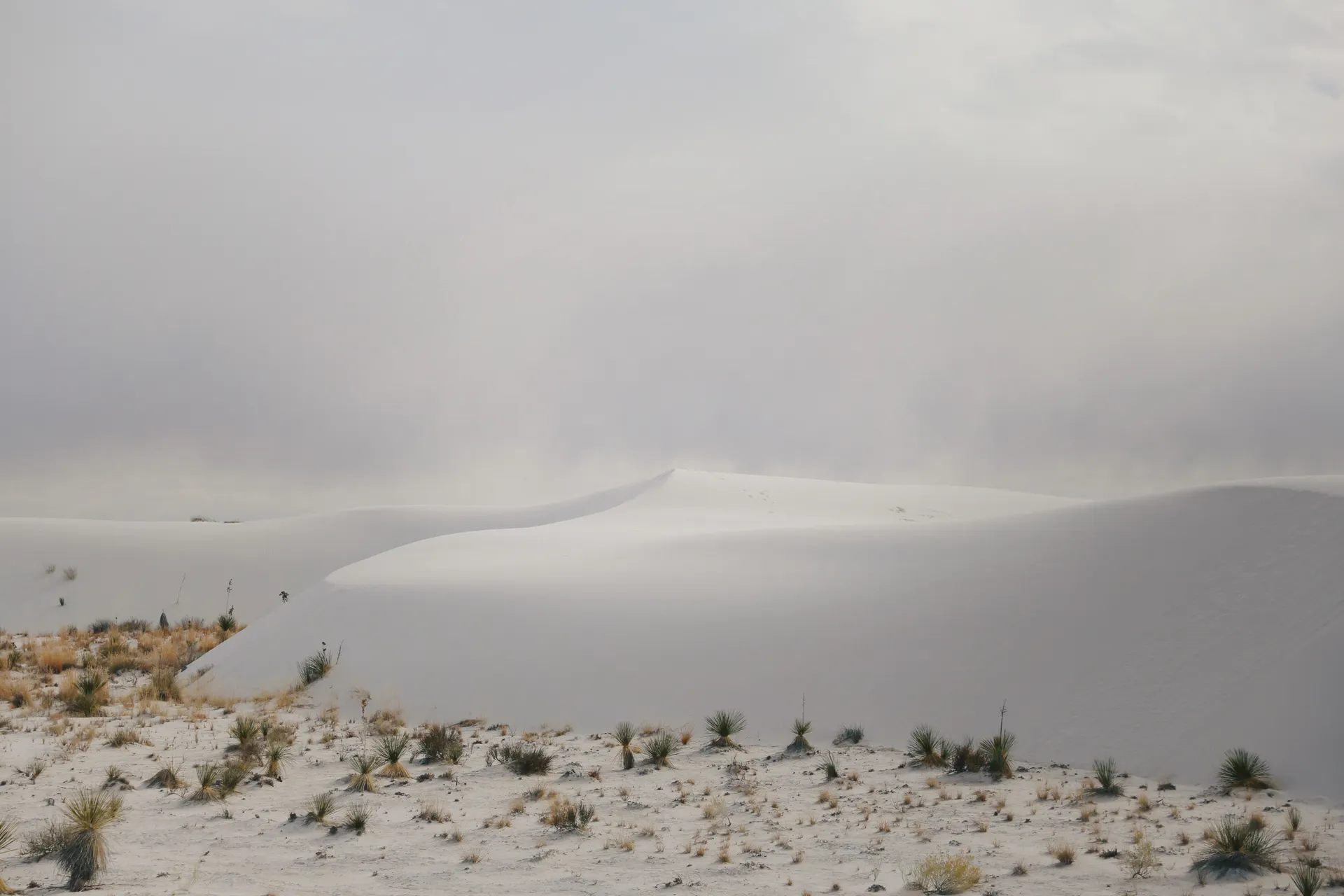 View of the white sand dunes at White Sands National Park, New Mexico, USA. View of the white sand dunes at White Sands National Park, New Mexico, USA.