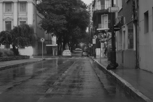 Moody black and white street view in Córdoba on a rainy day.