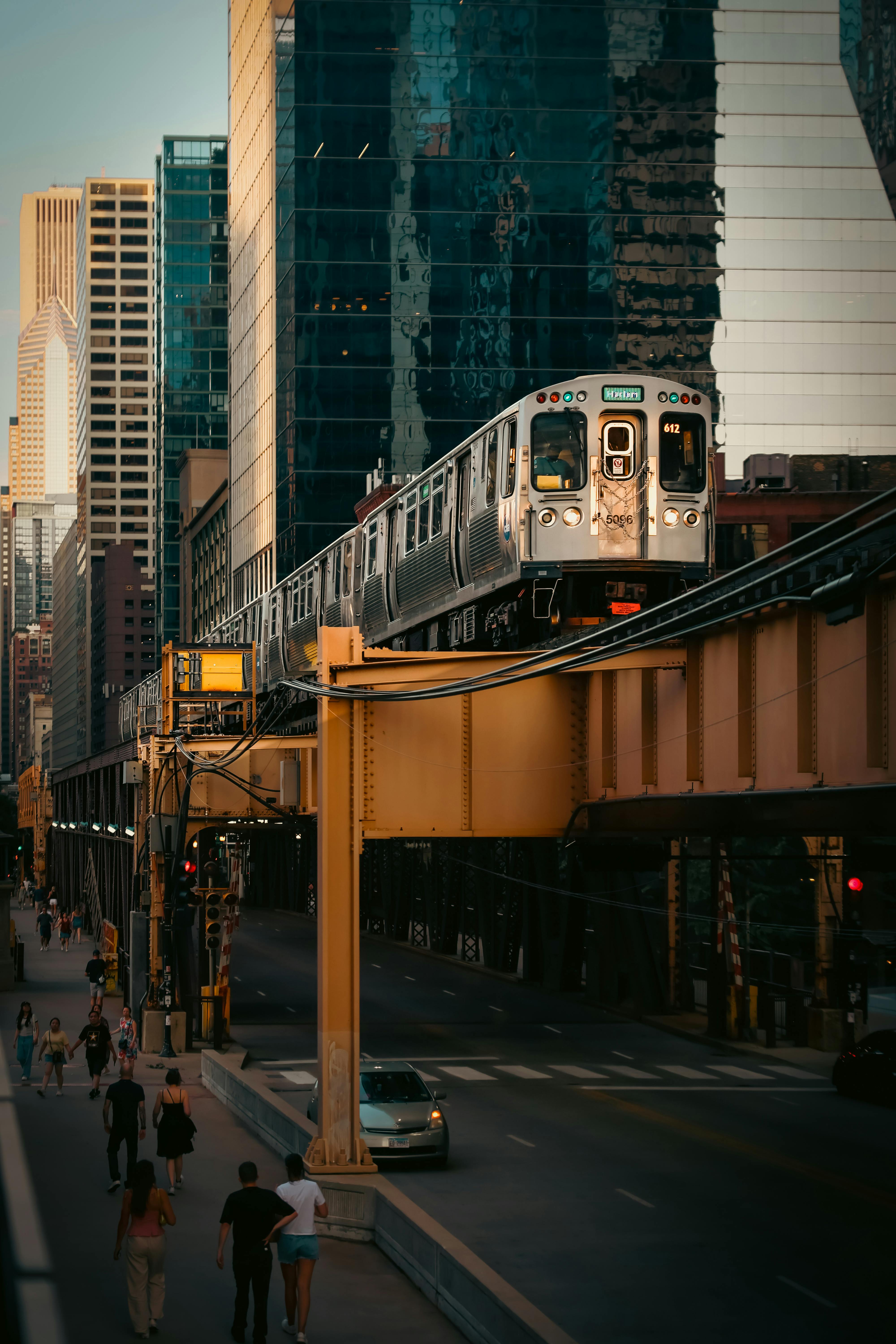 L Glutamine For Protecting and Building Muscle