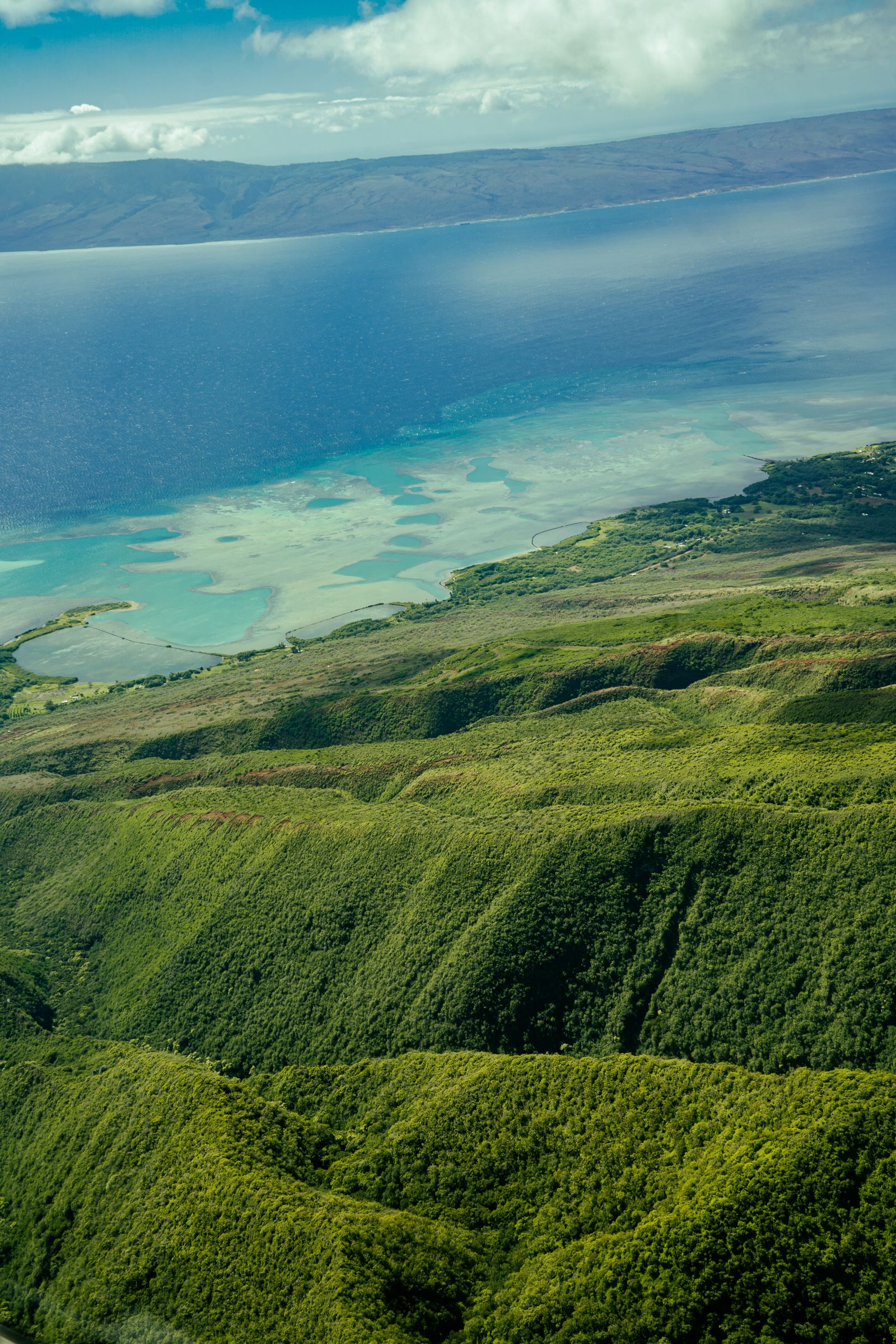 Aerial View of Coastal Town with Lush Greenery · Free Stock Photo