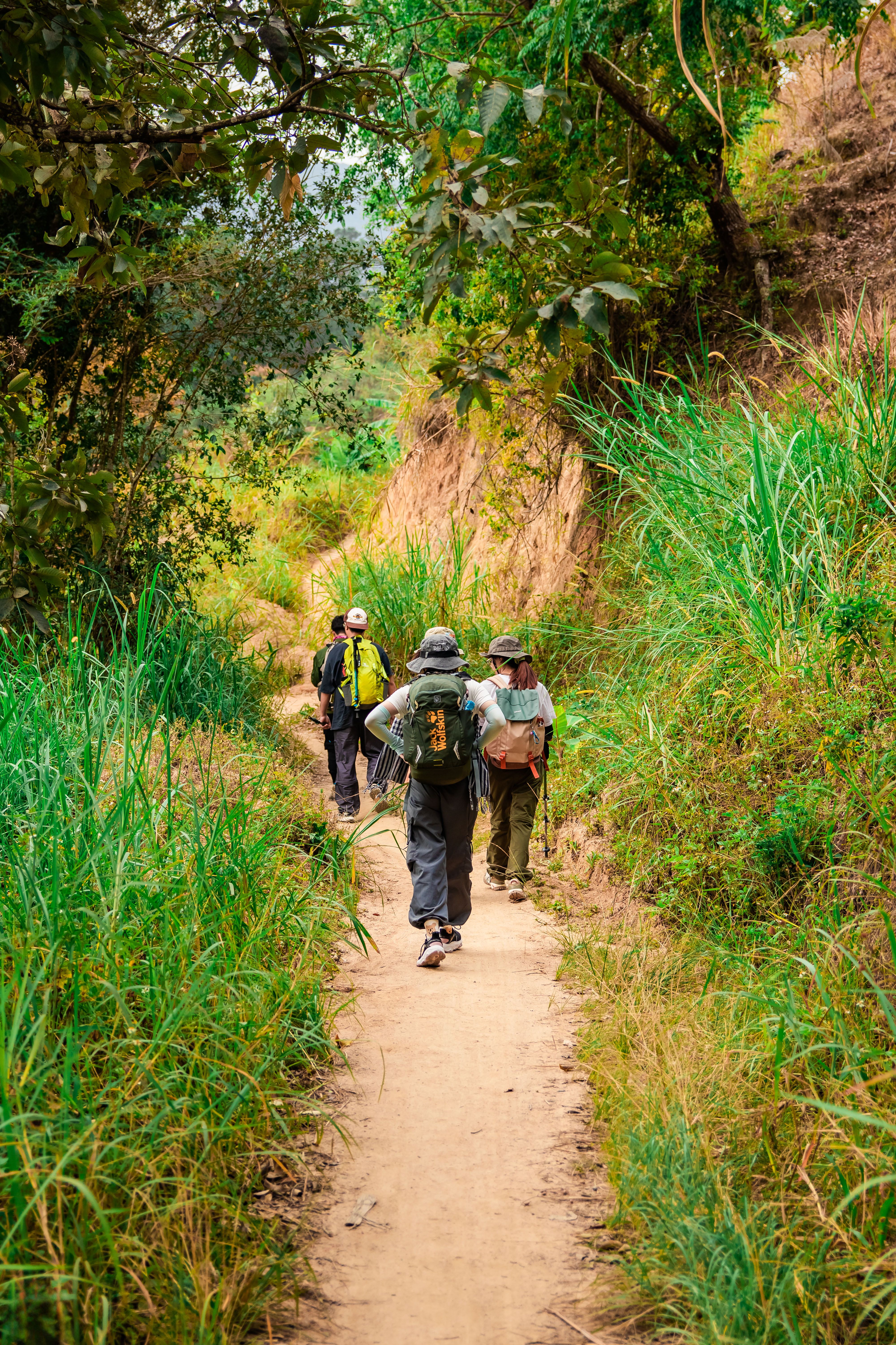 Petualangan Mendaki Gunung Di Lanskap Subur Lâm đồng · Foto Stok Gratis