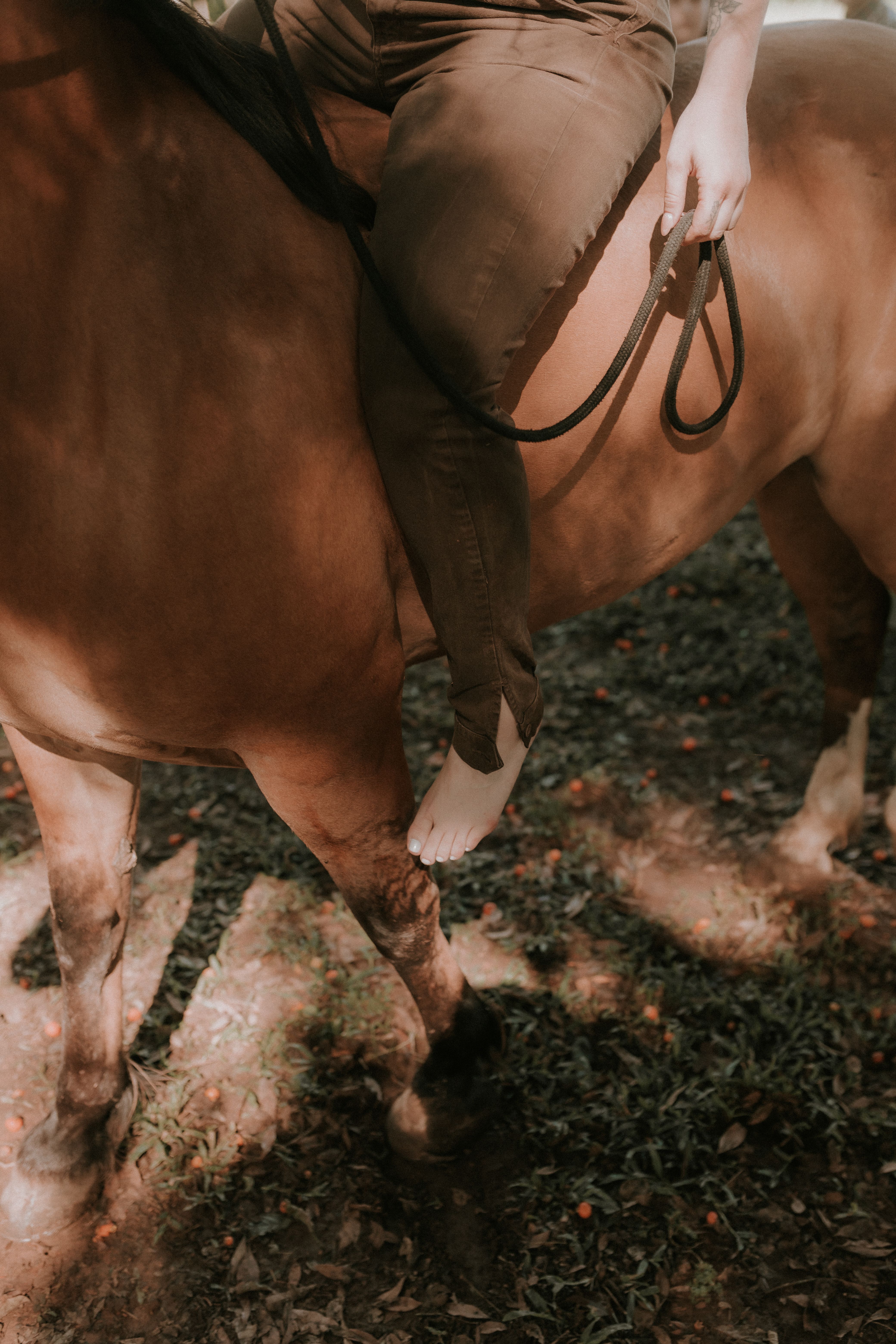 Barefoot Rider on Horseback in Sunlit Forest · Free Stock Photo