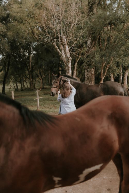 Free A woman embraces a horse in a serene forest environment, conveying peace and connection. Stock Photo