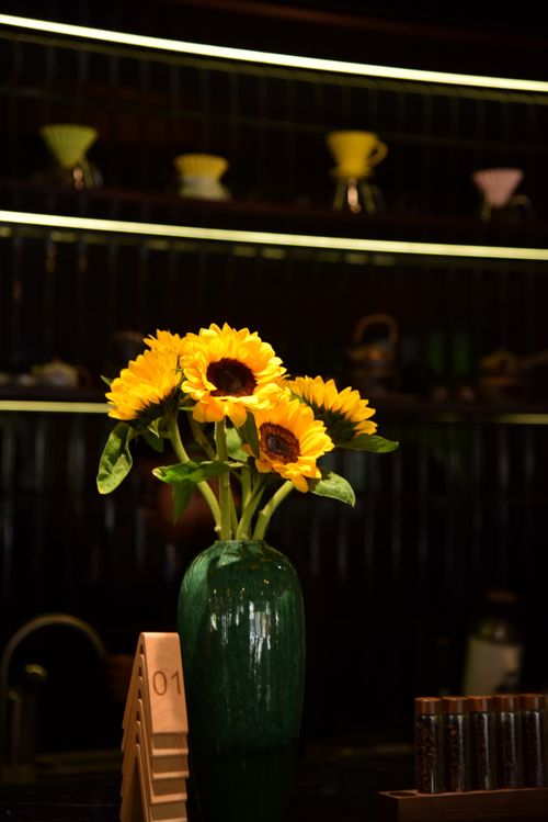 Free A green vase filled with bright yellow sunflowers placed on a counter with blurred background. Stock Photo