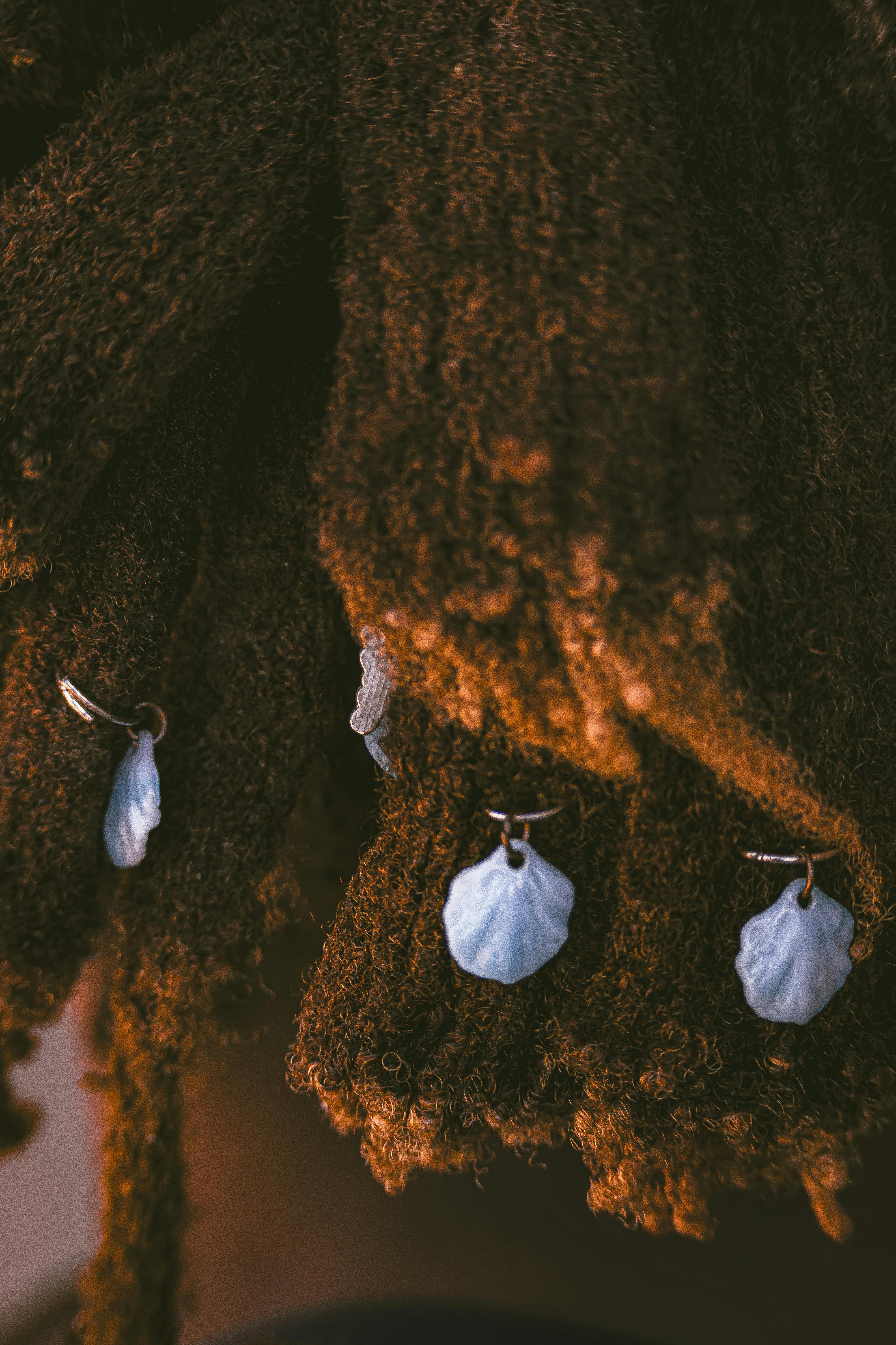 Close-up of Textured Dreadlocks with Shell Adornments · Free Stock Photo